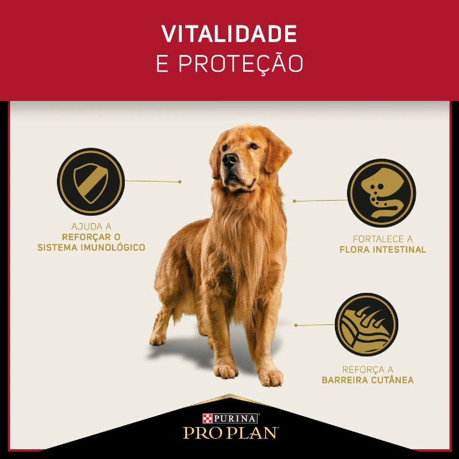Racao Umida Pro Plan Caes Adultos 1+ beneficios-02